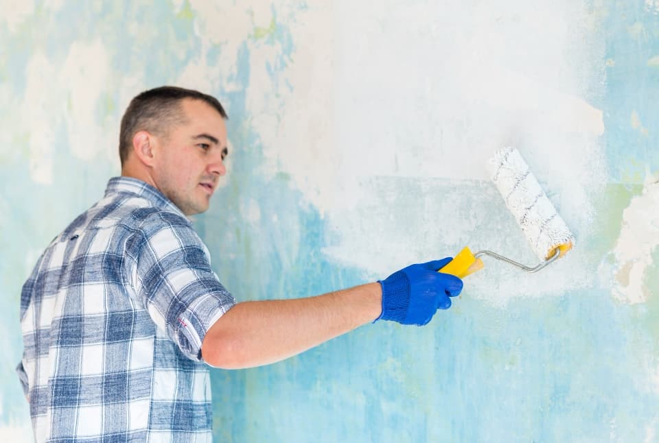 Peinture d'intérieur professionnelle et moderne
